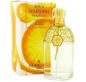 Aqua Allegoria Pamplelune