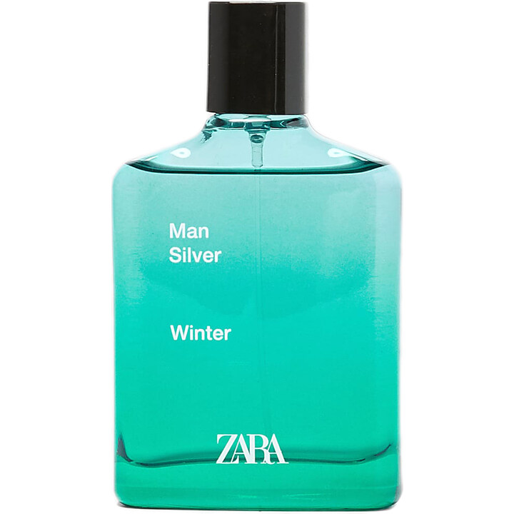 Zara Man Silver Winter
