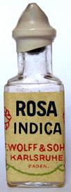 Rosa Indica