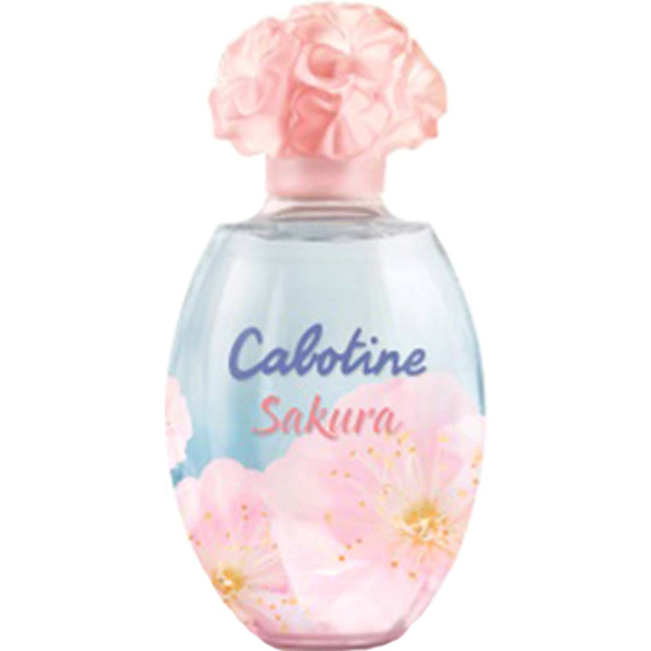 Cabotine Sakura
