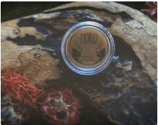 Horus (Solid Perfume)