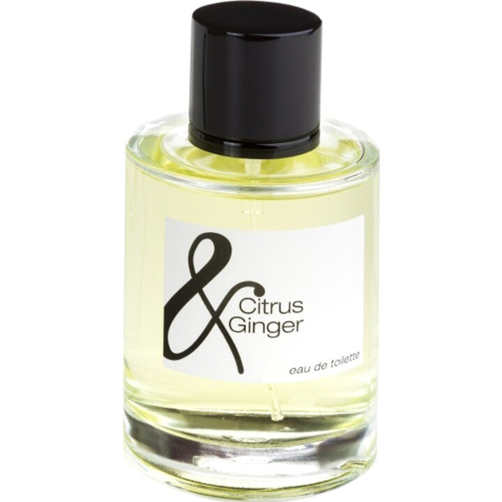 Ampersand Collection - Citrus & Ginger