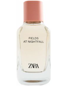 Fields at Nightfall (2020)