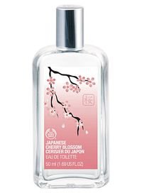 Japanese Cherry Blossom / Cerisier du Japon