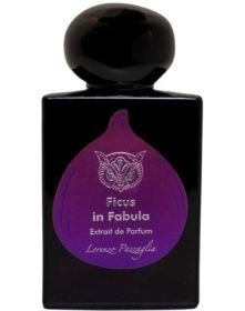 Ficus in Fabula - Limited Edition