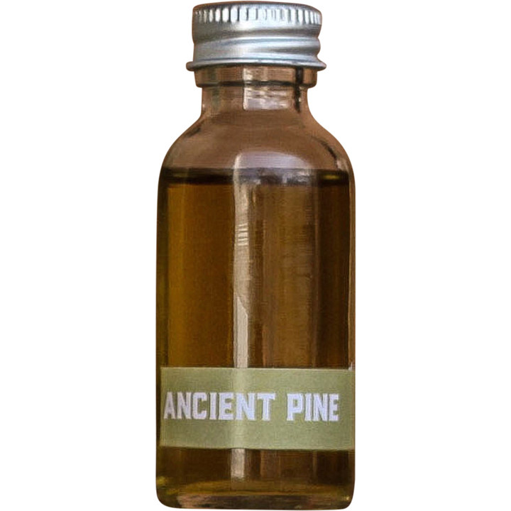Ancient Wood / Ancient Pine