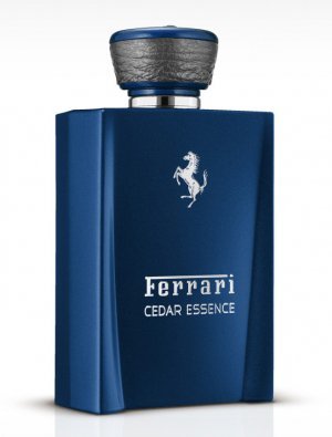Cedar Essence