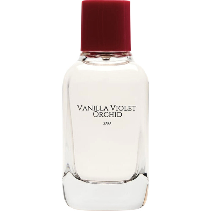 Vanilla Violet Orchid