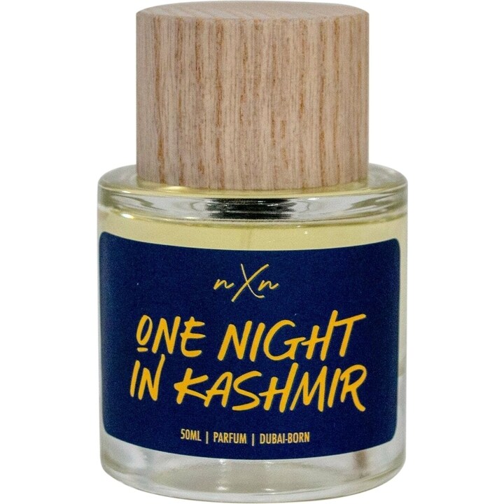 One Night In Kashmir