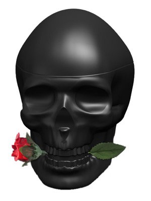 Skulls & Roses for Him