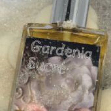 Gardenia Sucré