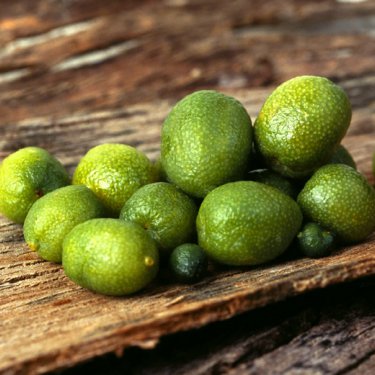 Mysore Lime