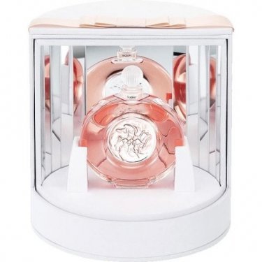 Satine (Extrait de Parfum)