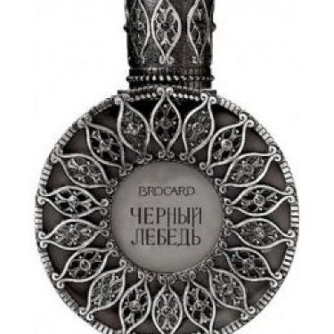 Black Swan (Черный лебедь)