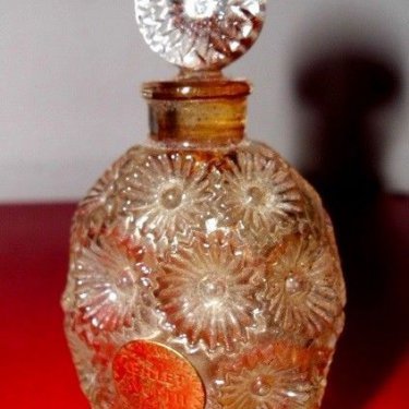 Fleurs Parisiennes - Œillet