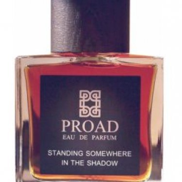 Standing Somewhere in the Shadow