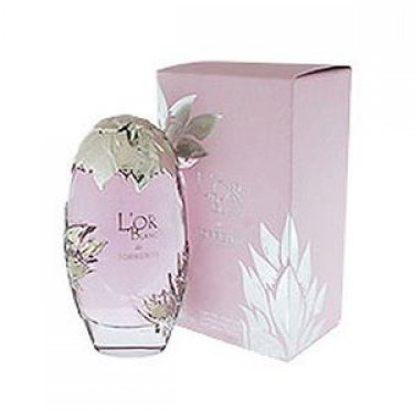 L'Or Blanc de Torrente