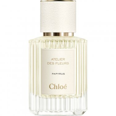 Atelier des Fleurs: Papyrus