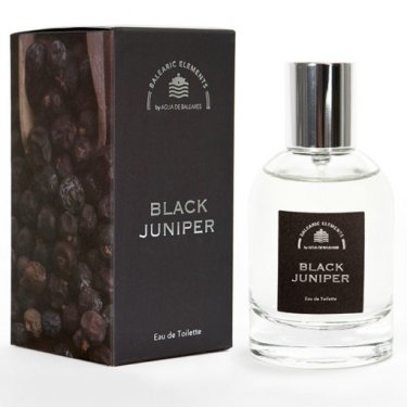 Black Juniper