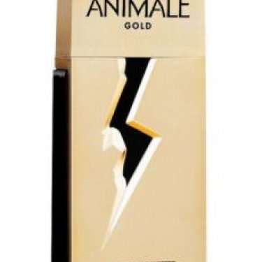 Animale Gold for Men