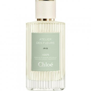 Atelier des Fleurs: Iris