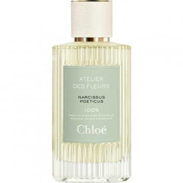 Atelier des Fleurs: Narcissus Poeticus