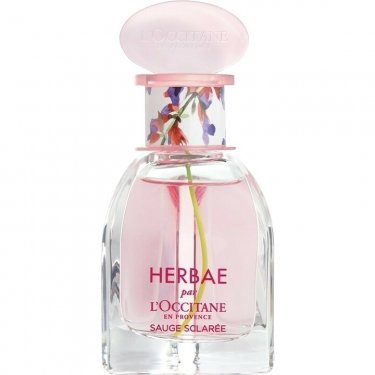 Herbae Sauge Sclarée / Clary Sage