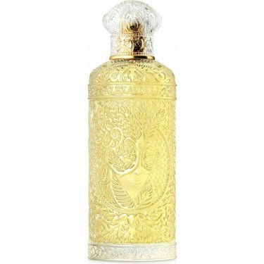 Art Nouveau Collection: Oriental Enigma (Eau de Parfum)