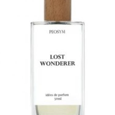 Lost Wonderer