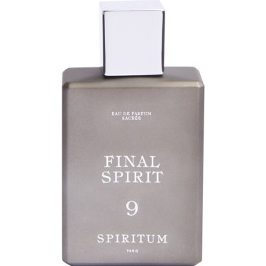 9 - Final Spirit