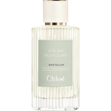 Atelier des Fleurs: Santalum