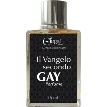 Il Vangelo Secondo Gay