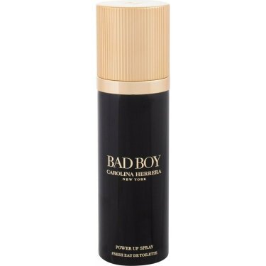 Bad Boy Power Up Spray (Fresh Eau de Toilette)