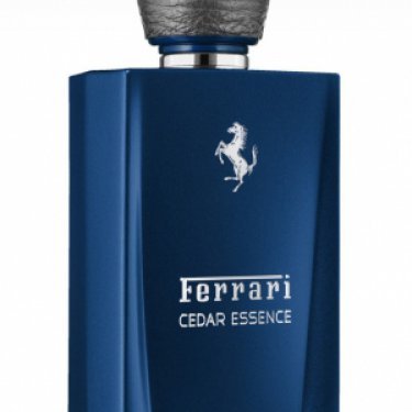 Cedar Essence