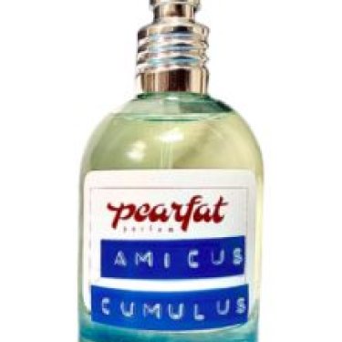 Amicus Cumulus