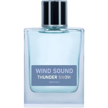 Wind Sound: Thunder Snow