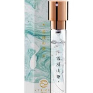 Snow Soaked Camellia