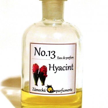 No.13 Hyacint