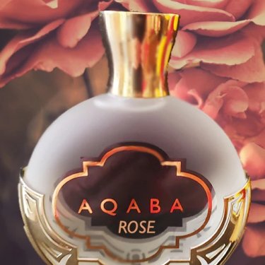 Aqaba Rose