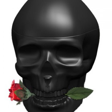 Skulls & Roses for Him