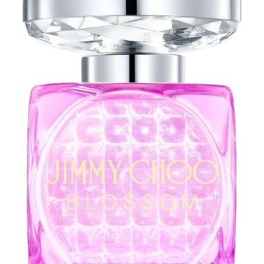 Blossom Special Edition 2024