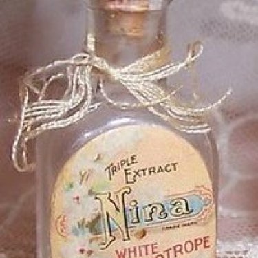 Nina White Heliotrope