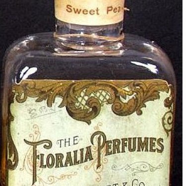 Floralia Perfume - Sweet Pea