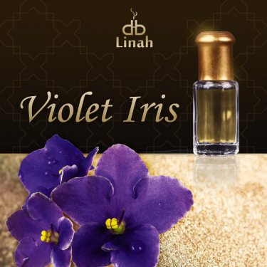 Violet Iris