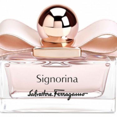 Signorina Leather Edition / Limited Edition 2014