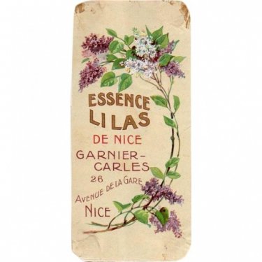 Essence Lilas de Nice