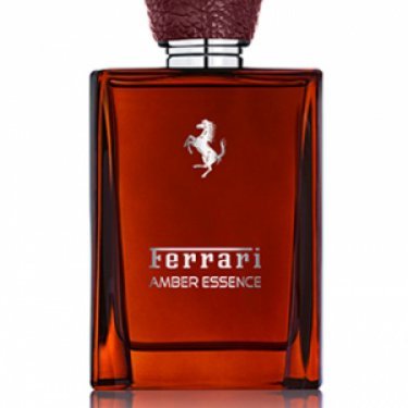 Amber Essence (2016)