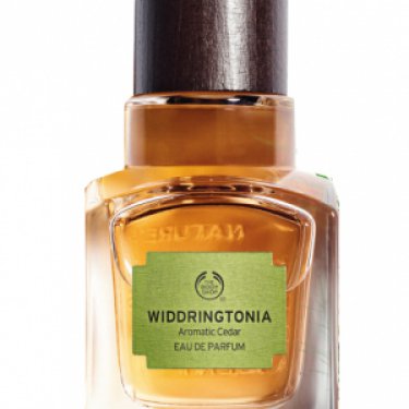 Widdringtonia - Aromatic Cedar