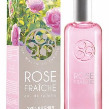 Rose Fraîche / Fresh Rose