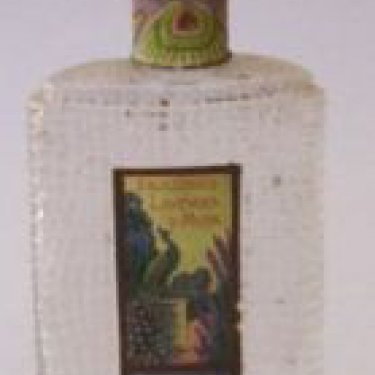 Lavender & Musk / Lavender with Musk